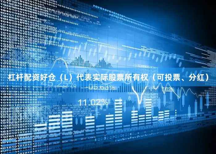 杠杆配资好仓（L）代表实际股票所有权（可投票、分红）