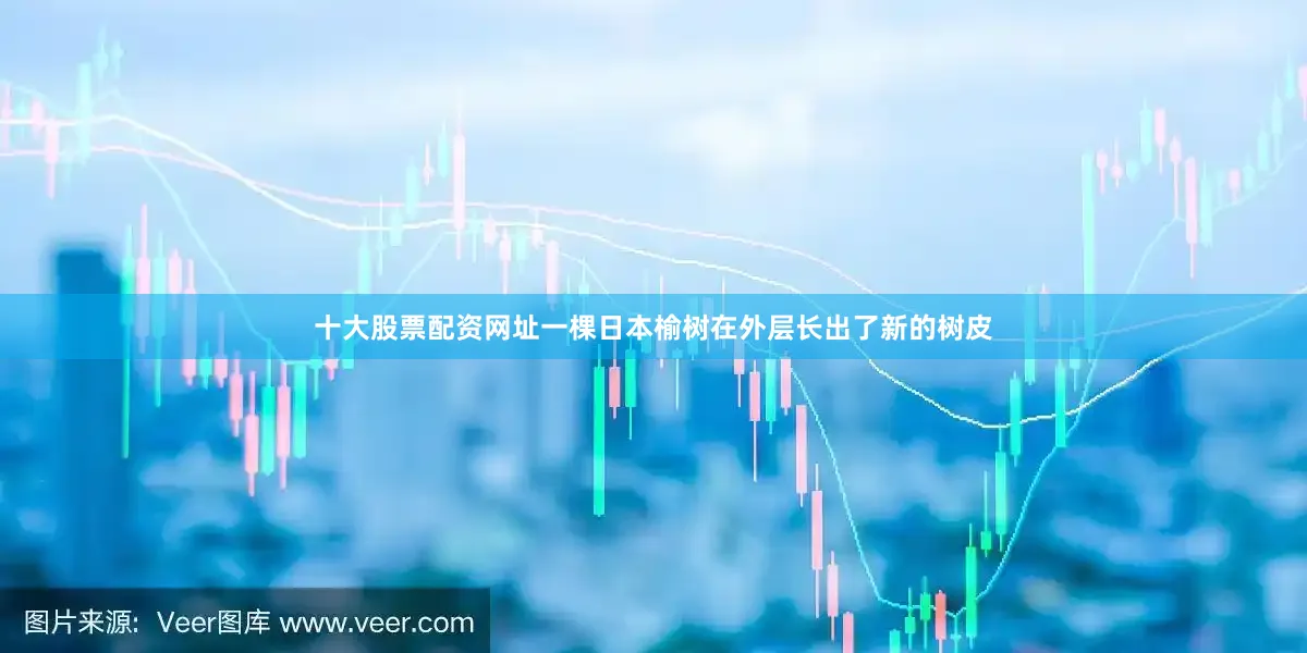 十大股票配资网址一棵日本榆树在外层长出了新的树皮
