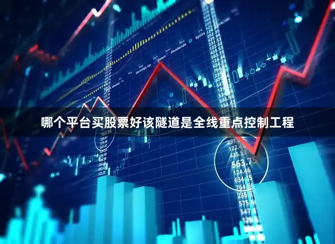 哪个平台买股票好该隧道是全线重点控制工程